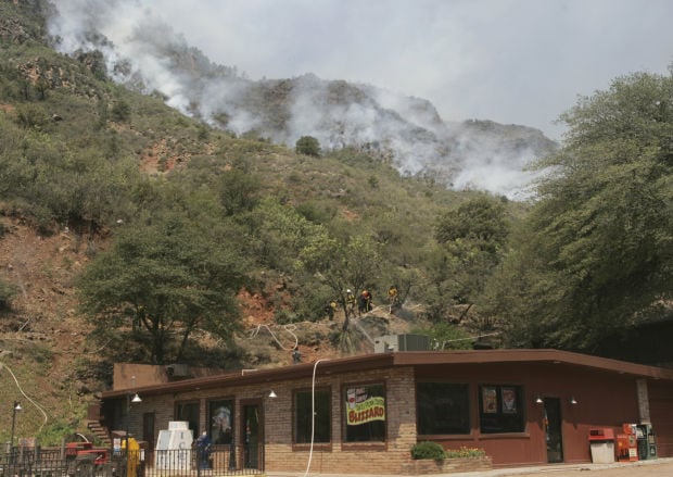 The Brins Fire in 2006